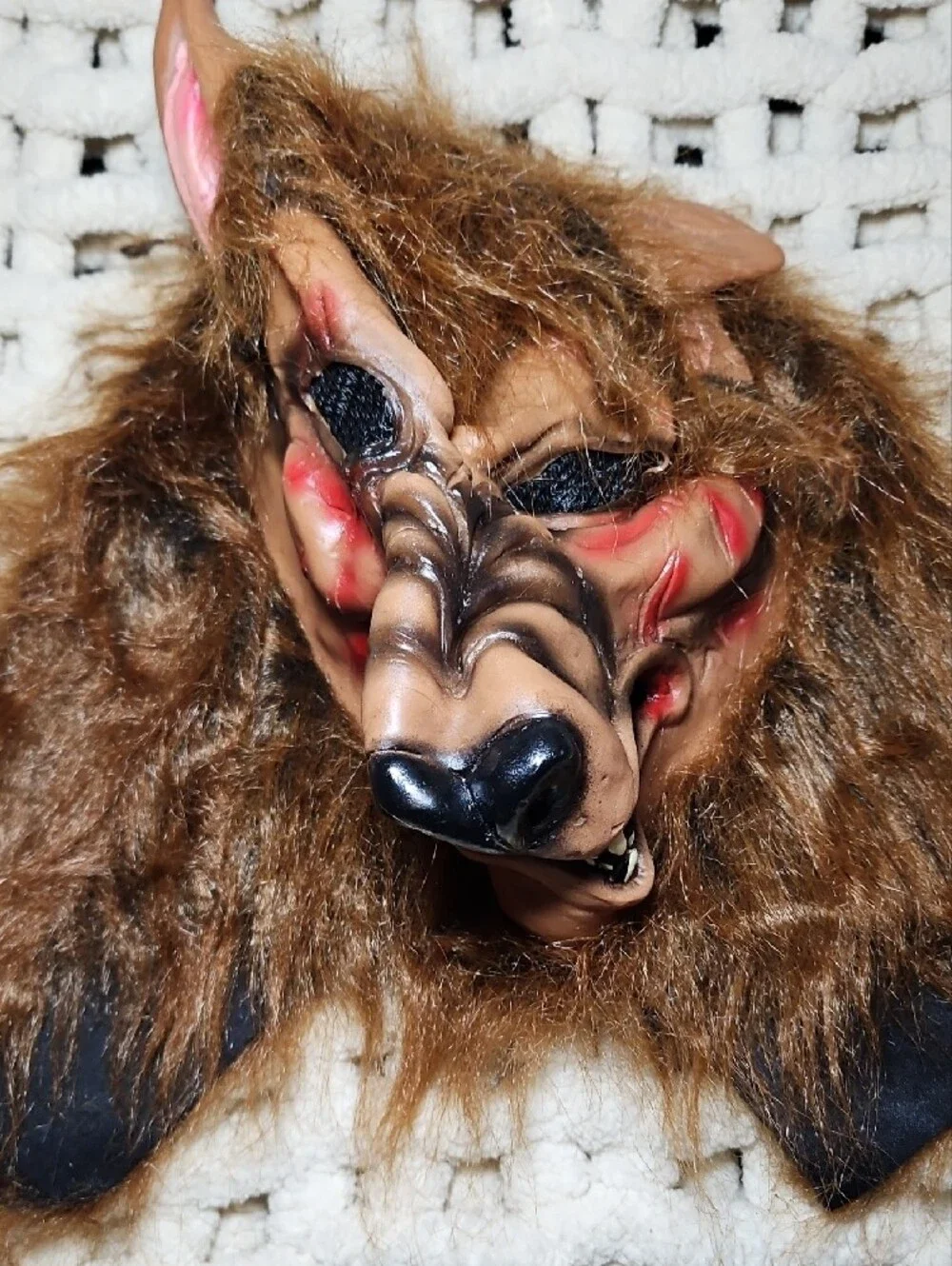 Kids Madness Werewolf Halloween Costume New Medium Unisex
